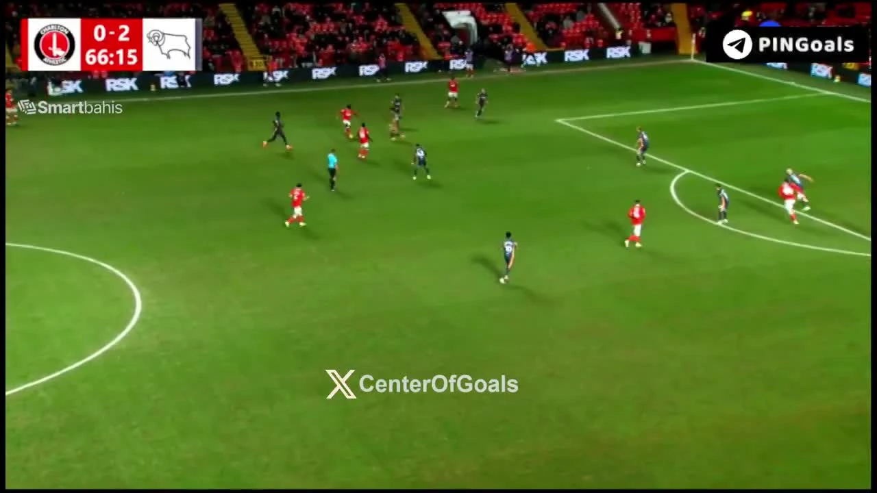 zaslepka skrotu video