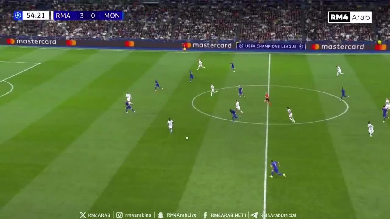 zaslepka skrotu video