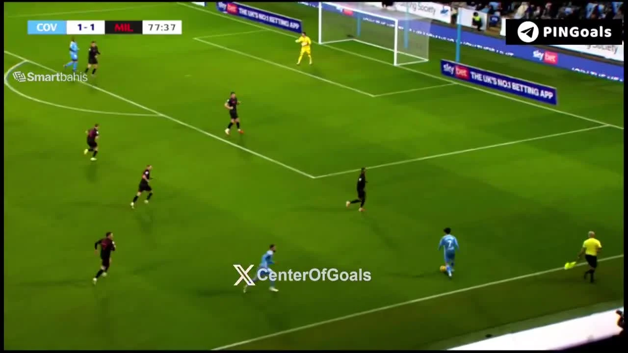 zaslepka skrotu video