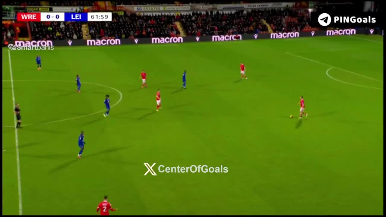 zaslepka skrotu video