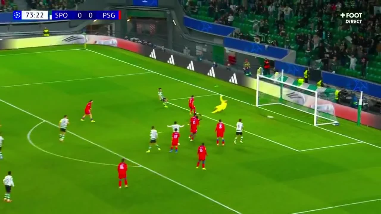 zaslepka skrotu video