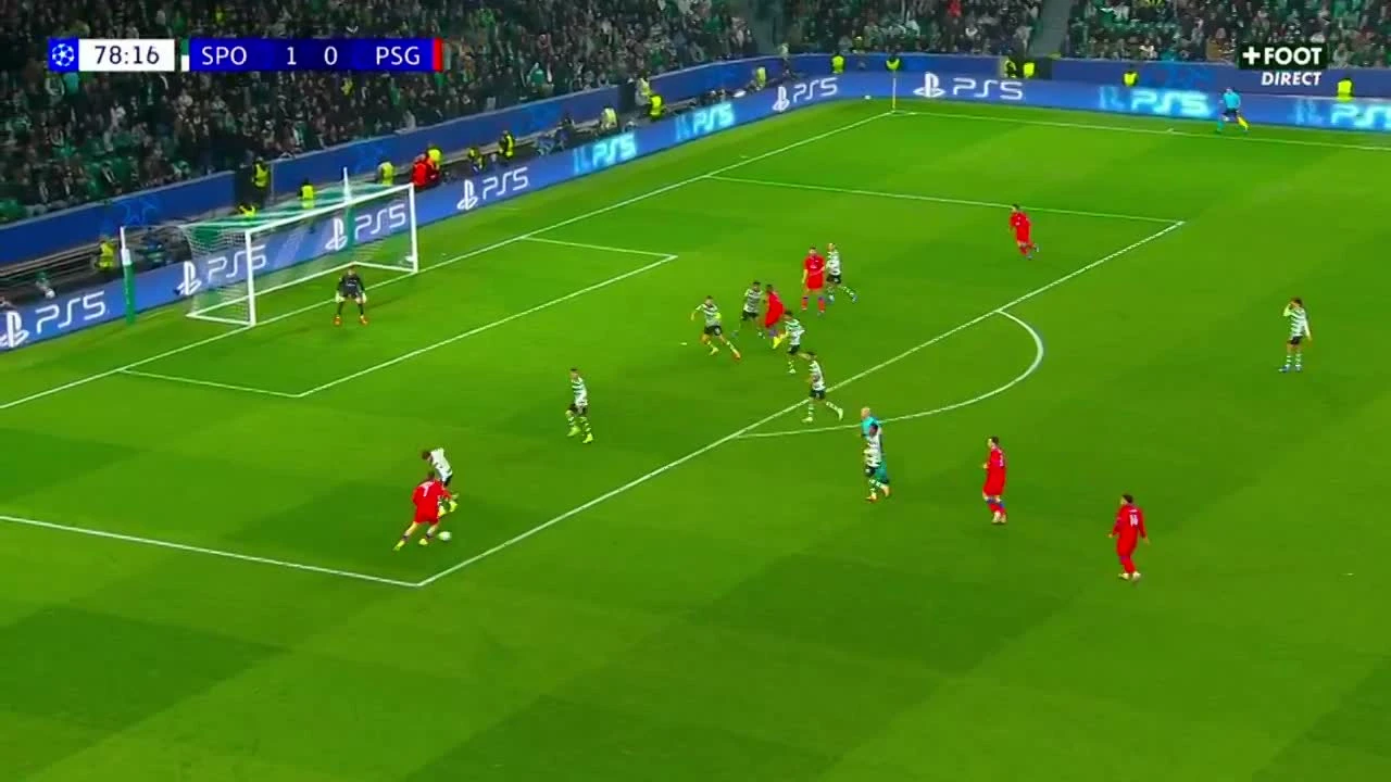 zaslepka skrotu video