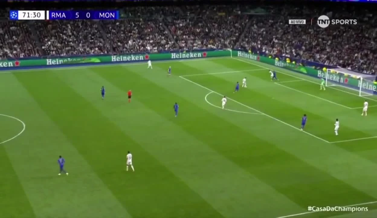 zaslepka skrotu video