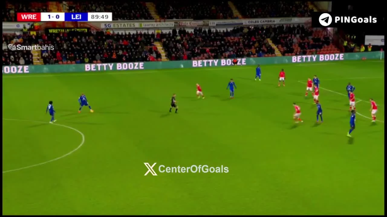 zaslepka skrotu video