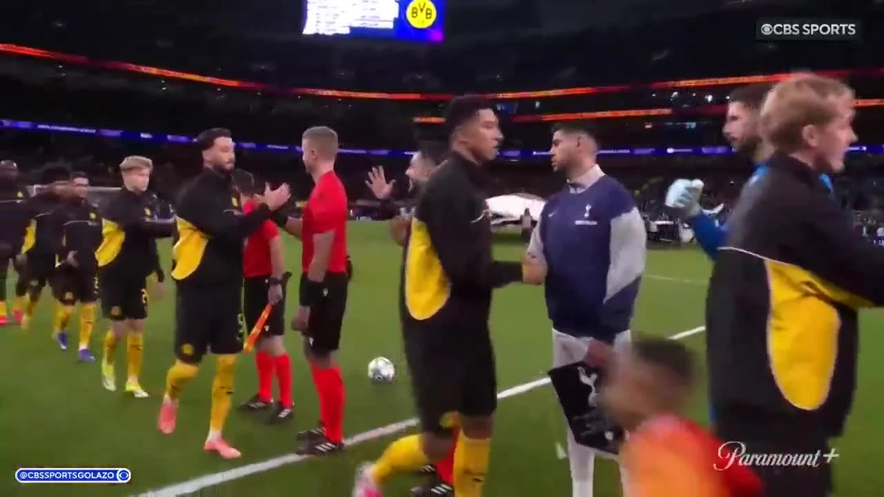 zaslepka skrotu video