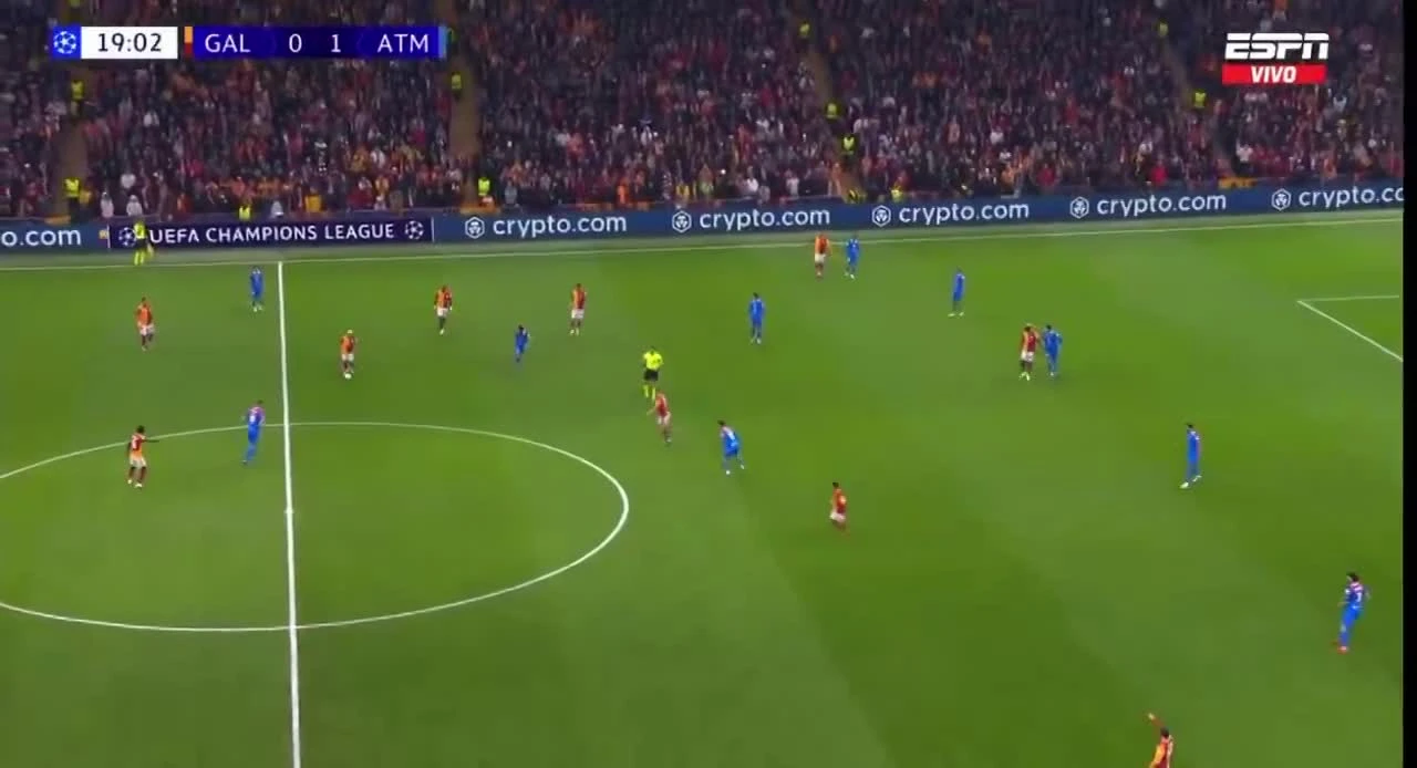 zaslepka skrotu video