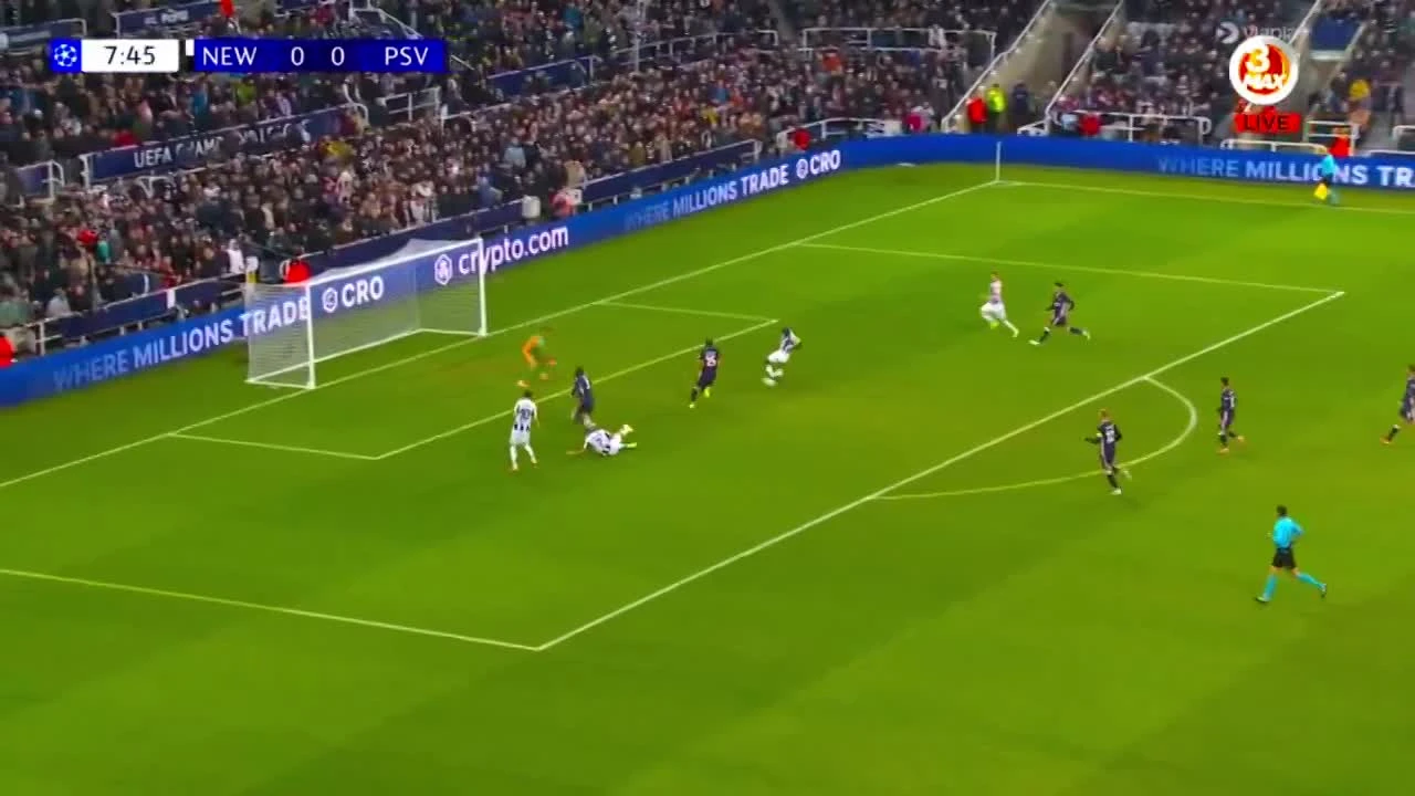 zaslepka skrotu video