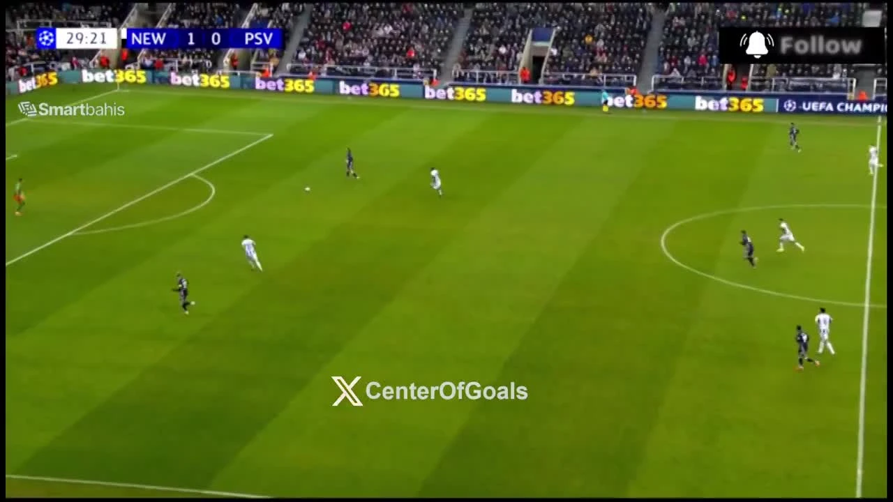 zaslepka skrotu video