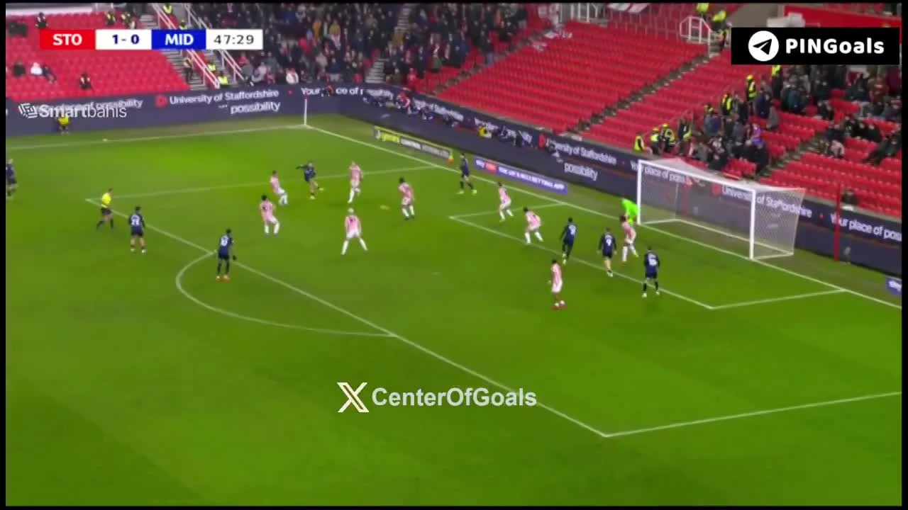 zaslepka skrotu video