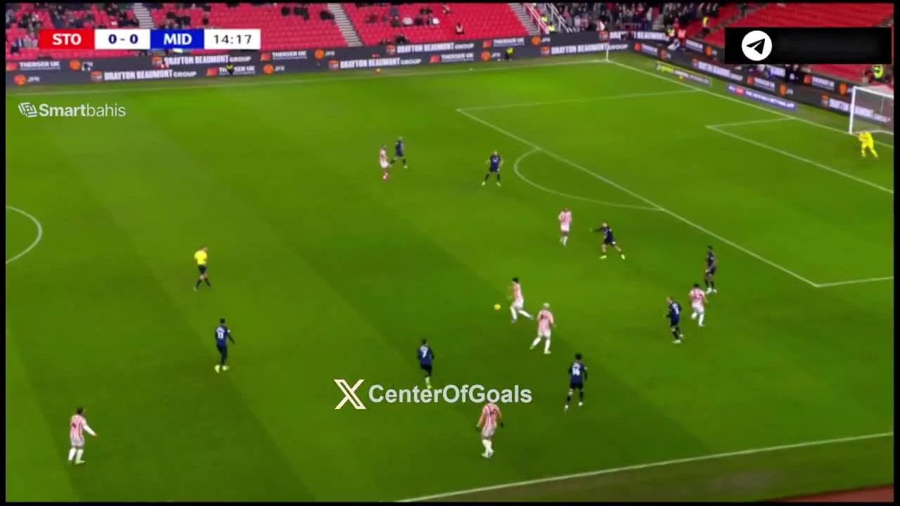 zaslepka skrotu video