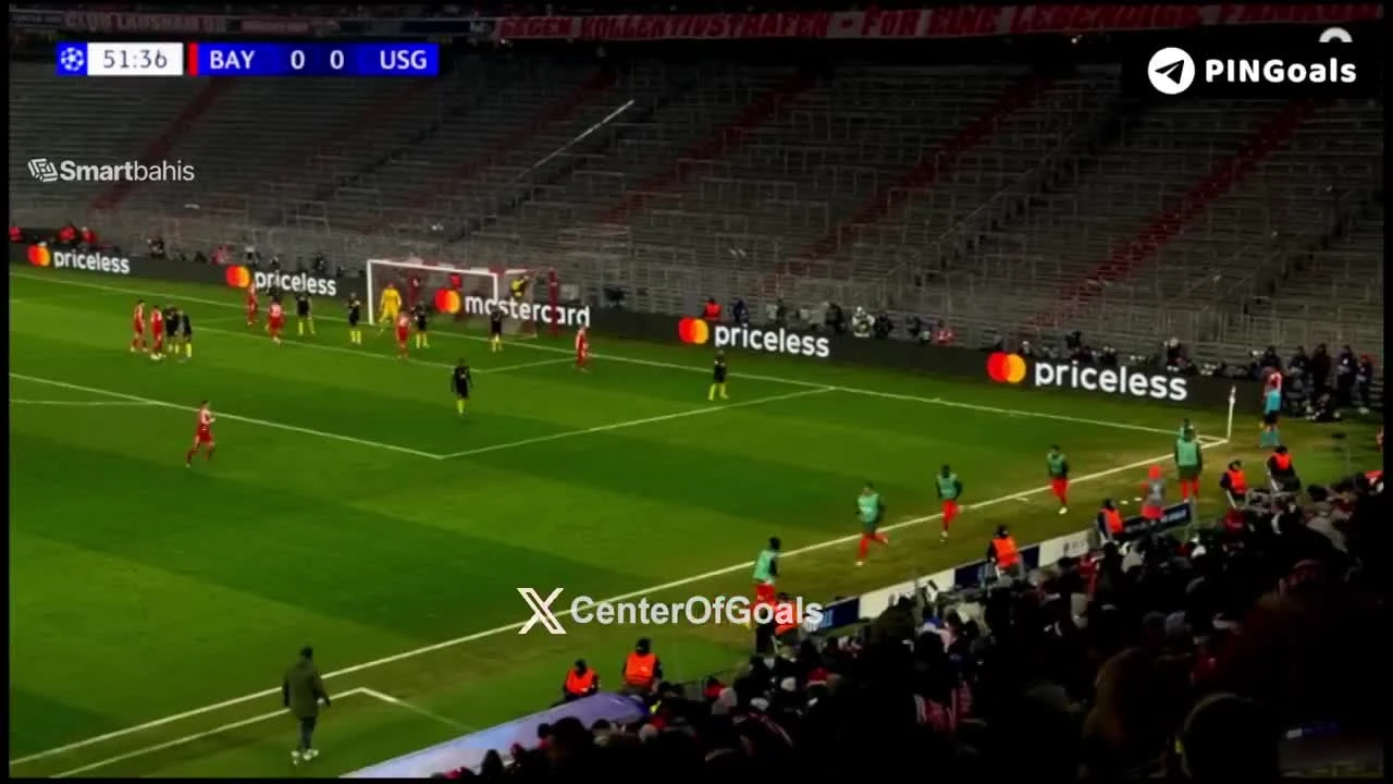 zaslepka skrotu video