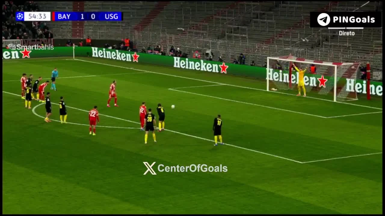 zaslepka skrotu video