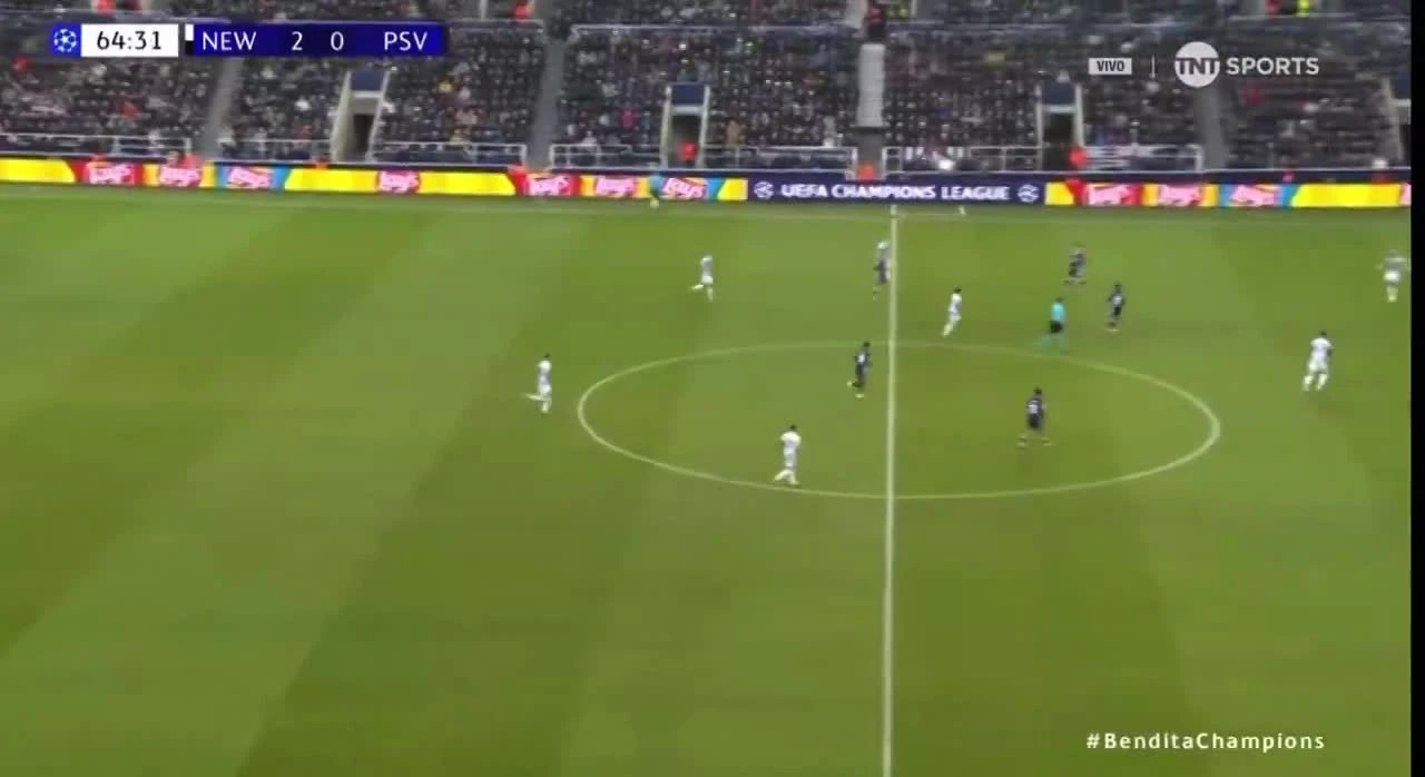 zaslepka skrotu video