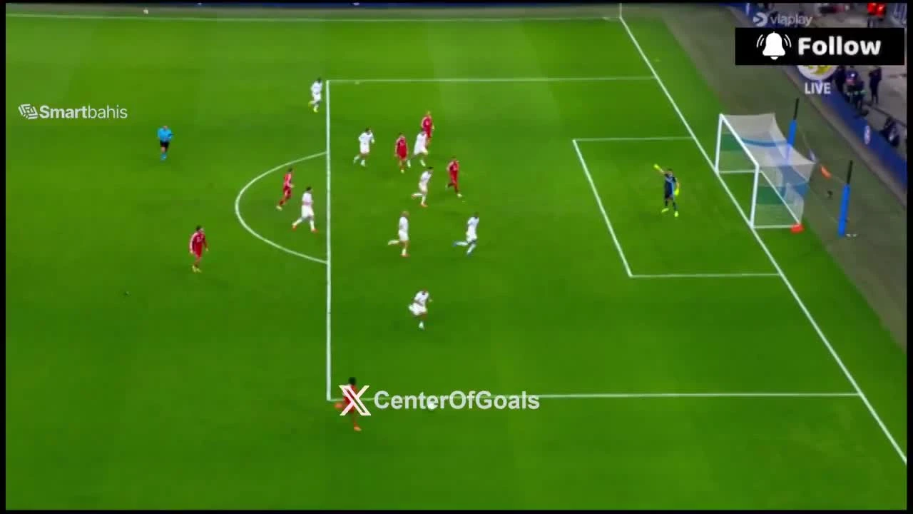 zaslepka skrotu video