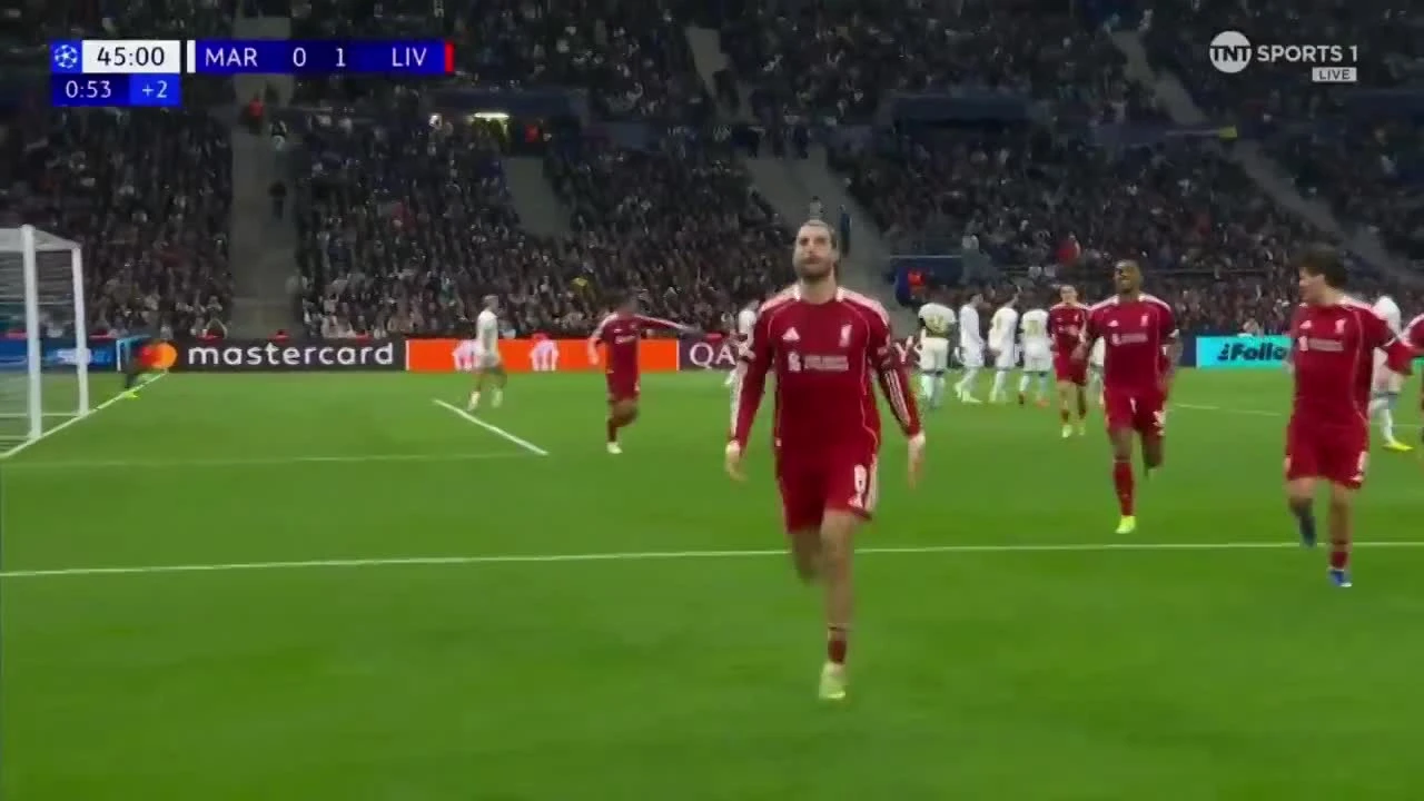 zaslepka skrotu video