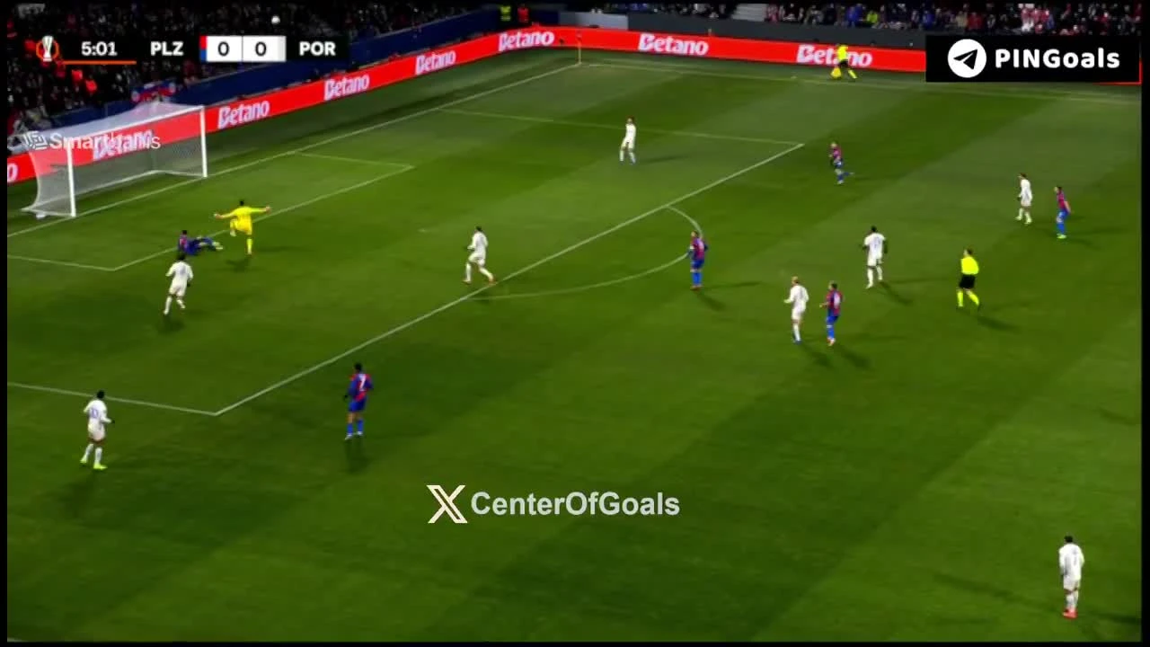 zaslepka skrotu video