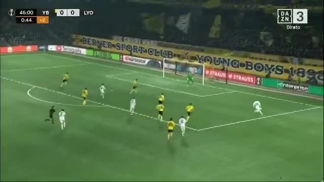 zaslepka skrotu video