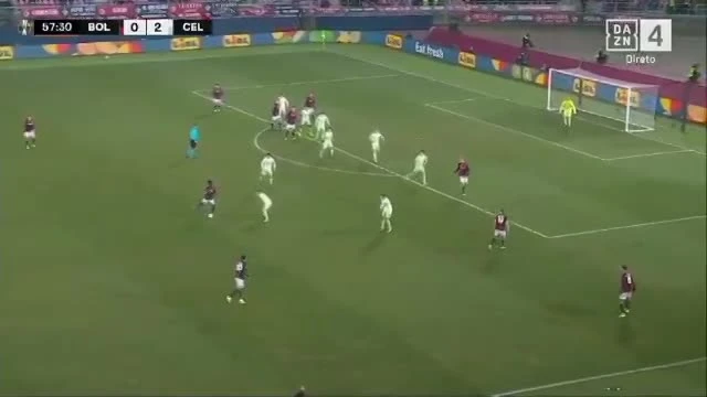 zaslepka skrotu video