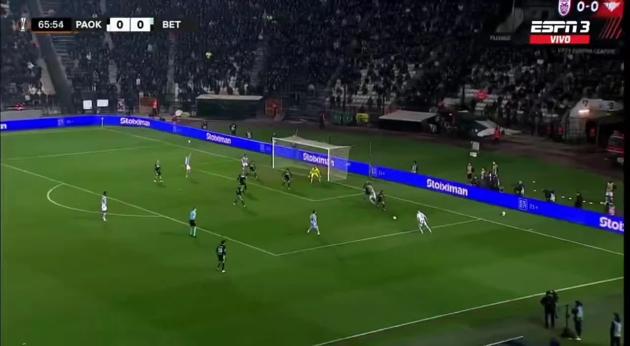 zaslepka skrotu video