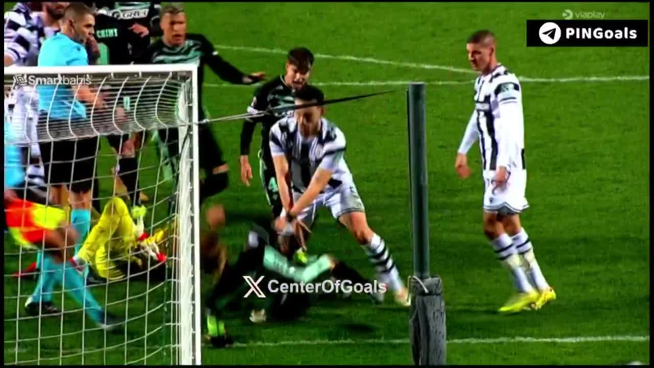 zaslepka skrotu video