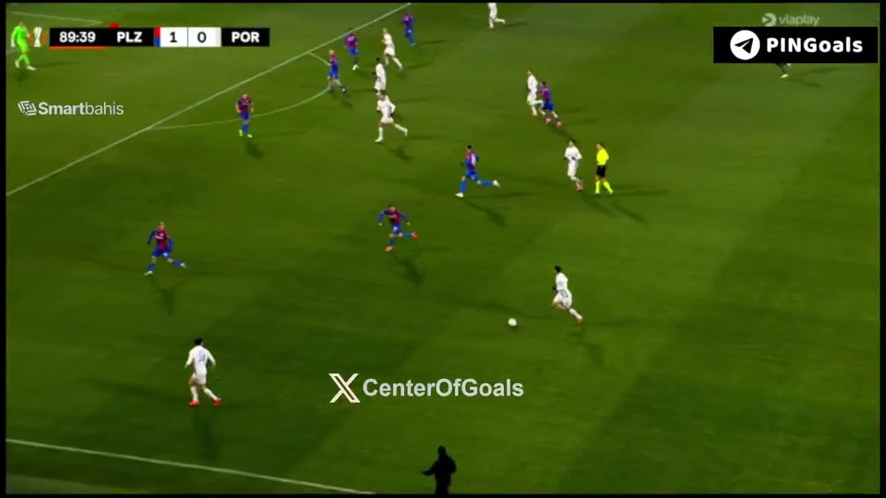 zaslepka skrotu video