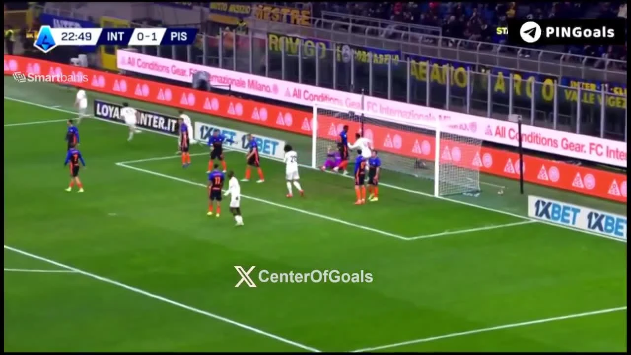 zaslepka skrotu video