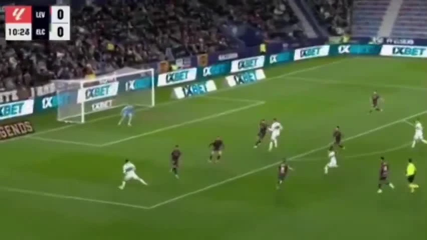 zaslepka skrotu video