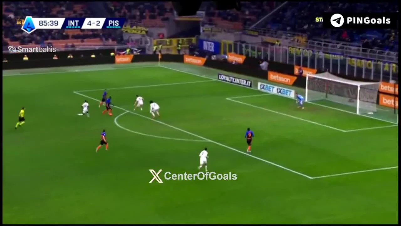 zaslepka skrotu video