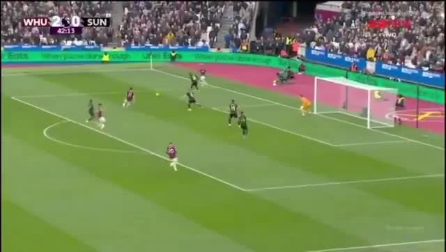 zaslepka skrotu video