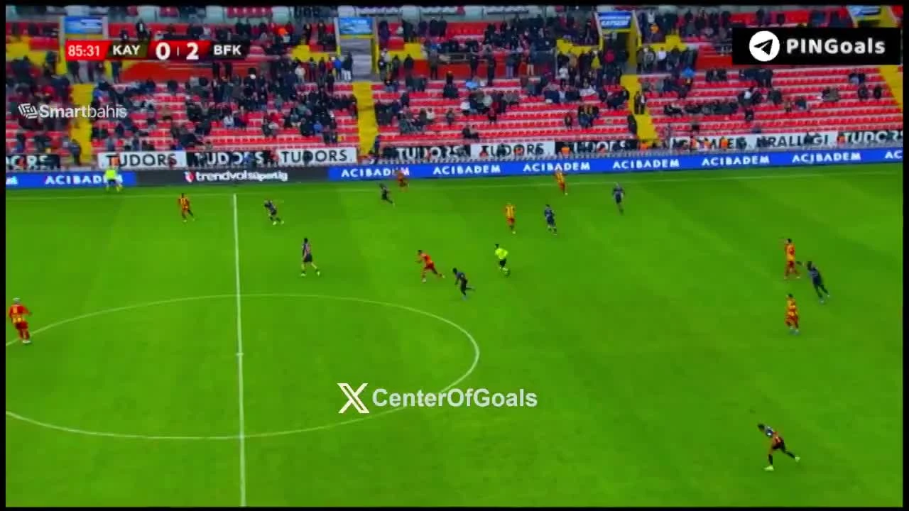 zaslepka skrotu video