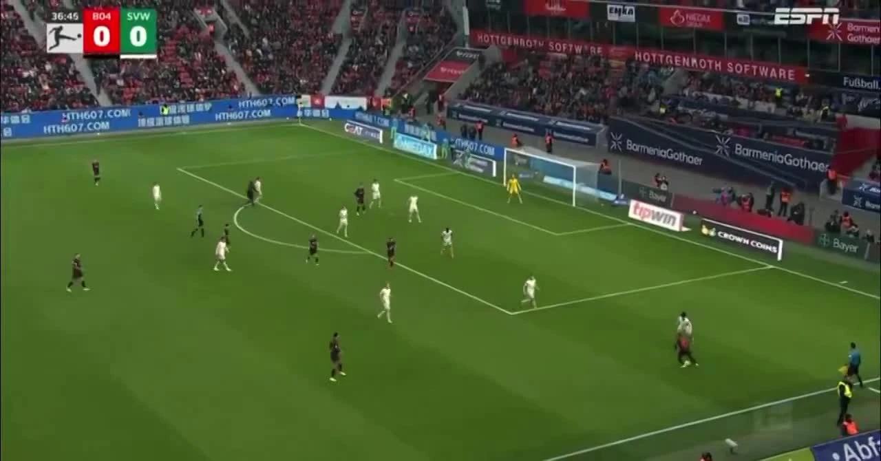 zaslepka skrotu video