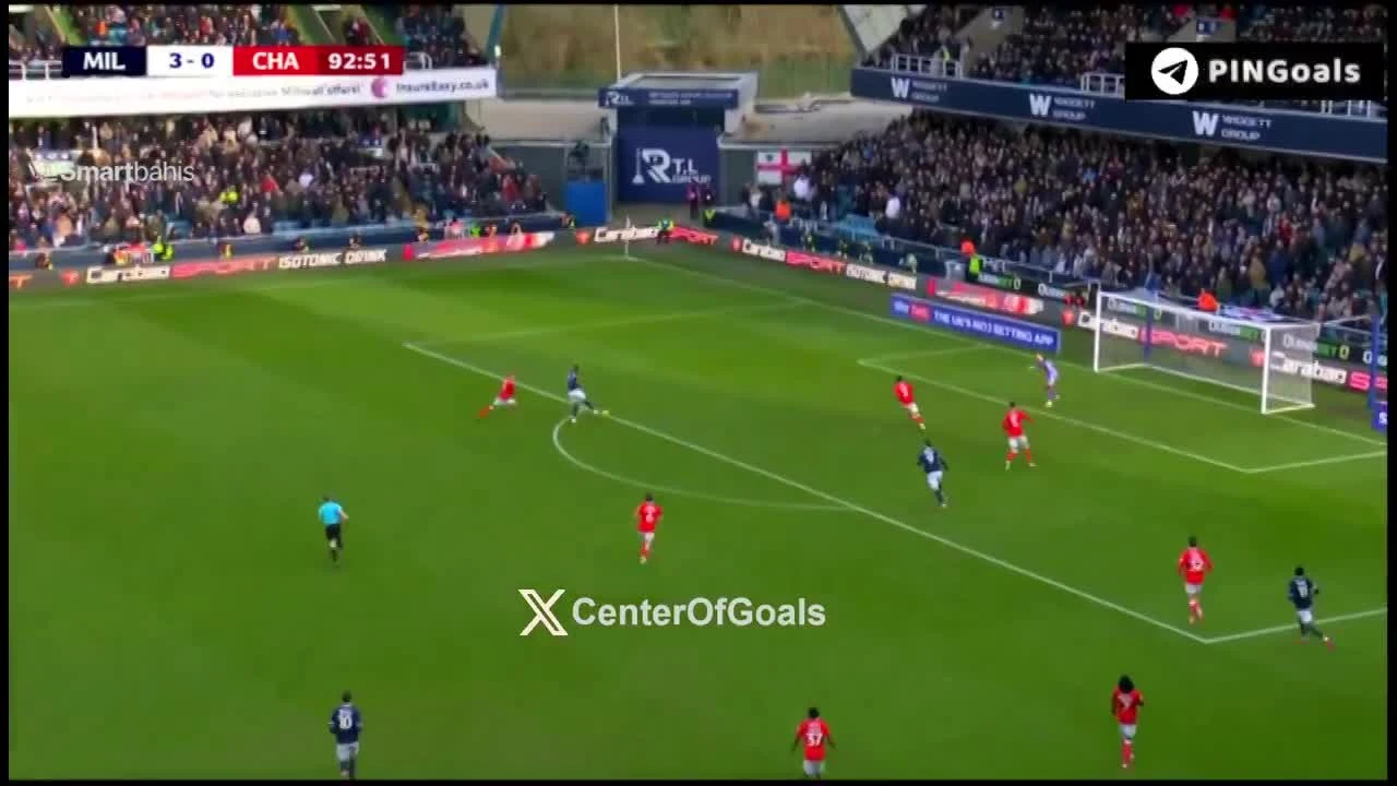 zaslepka skrotu video