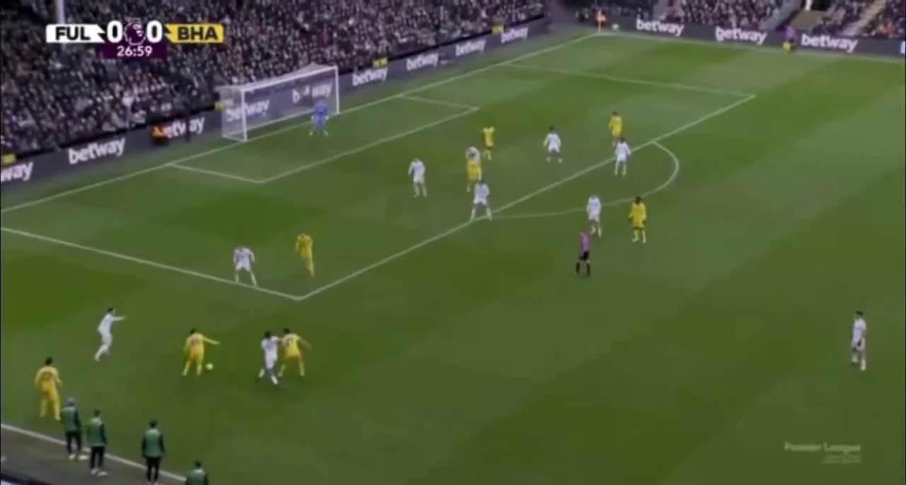 zaslepka skrotu video