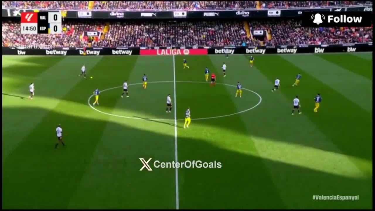 zaslepka skrotu video