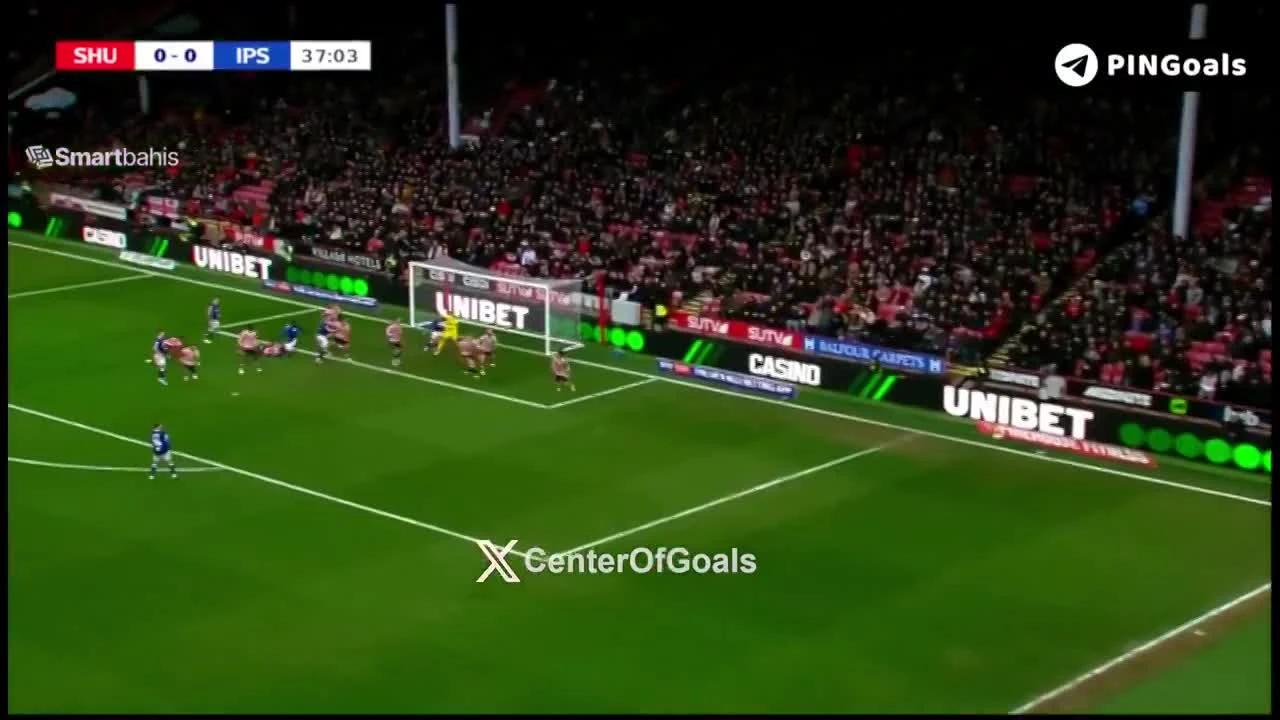 zaslepka skrotu video