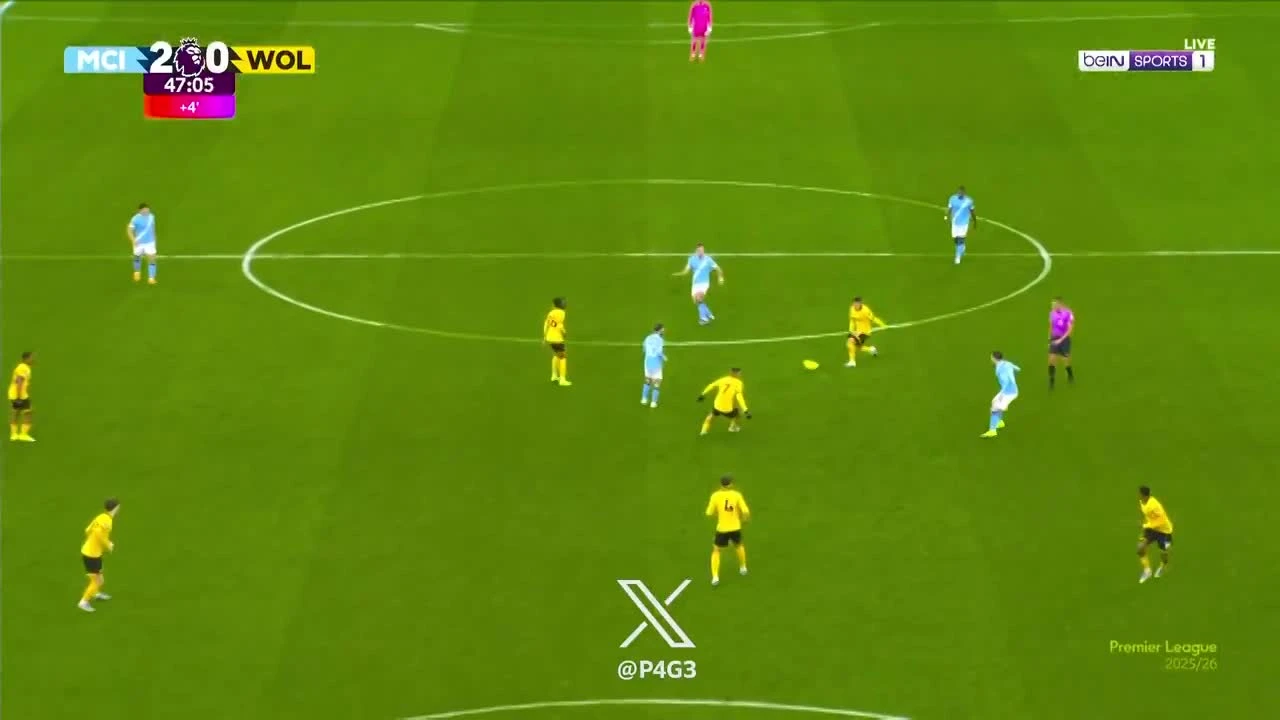 zaslepka skrotu video