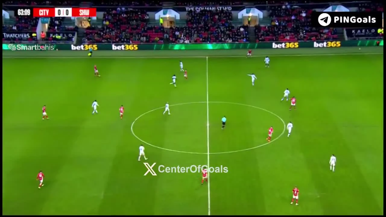 zaslepka skrotu video