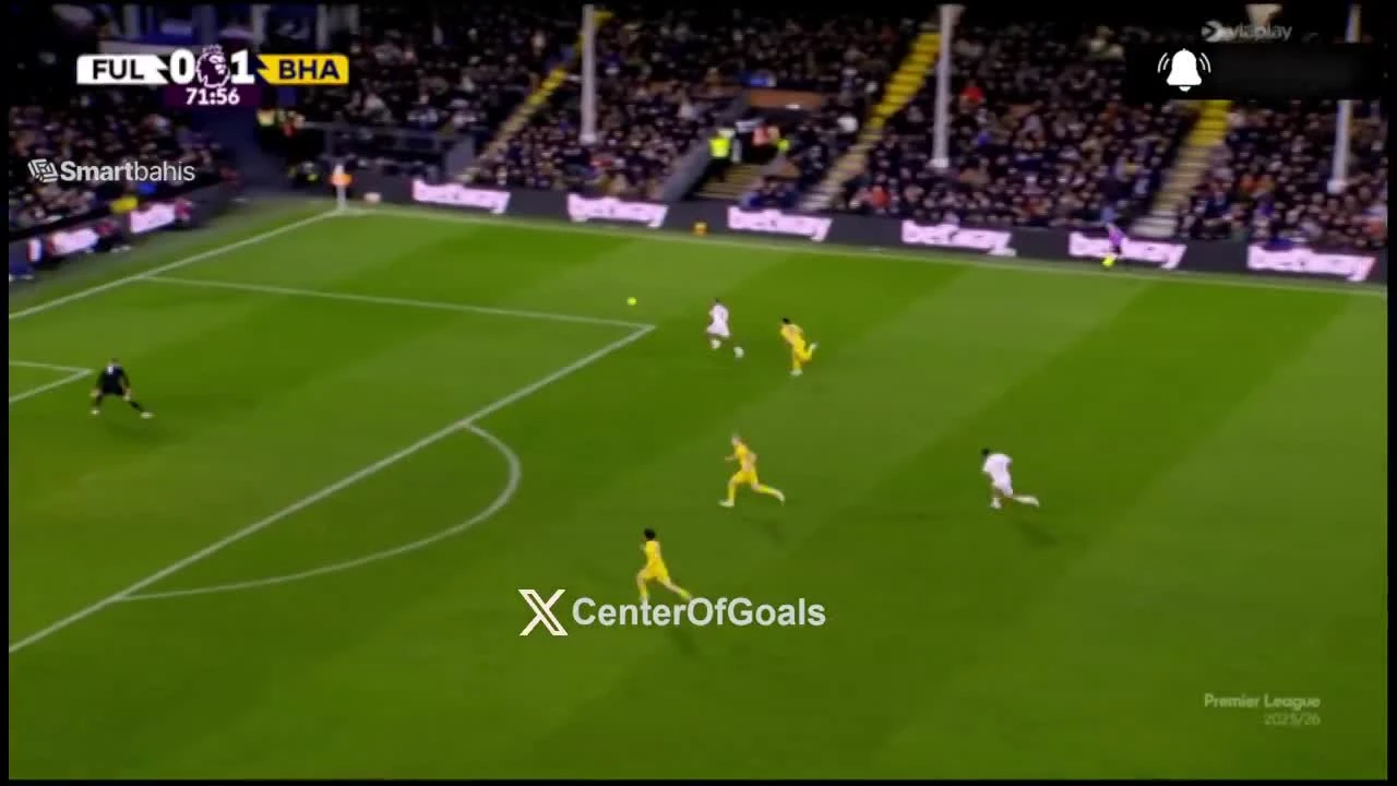 zaslepka skrotu video