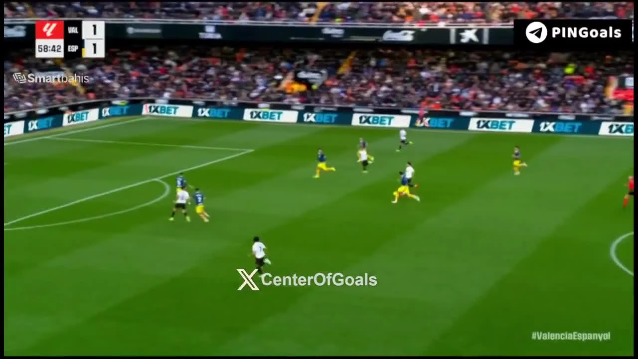 zaslepka skrotu video