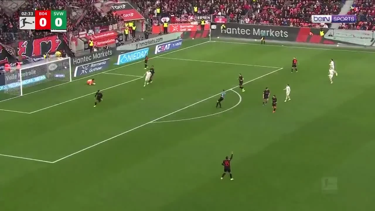 zaslepka skrotu video