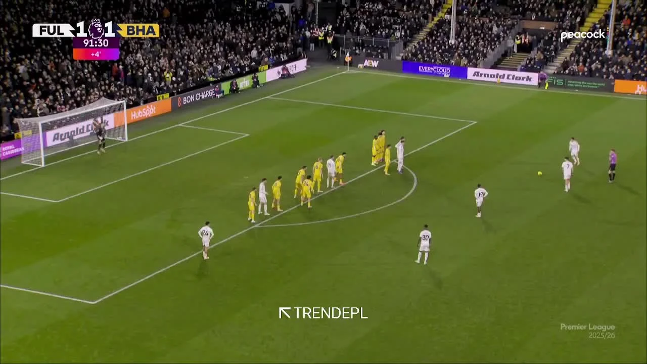 zaslepka skrotu video