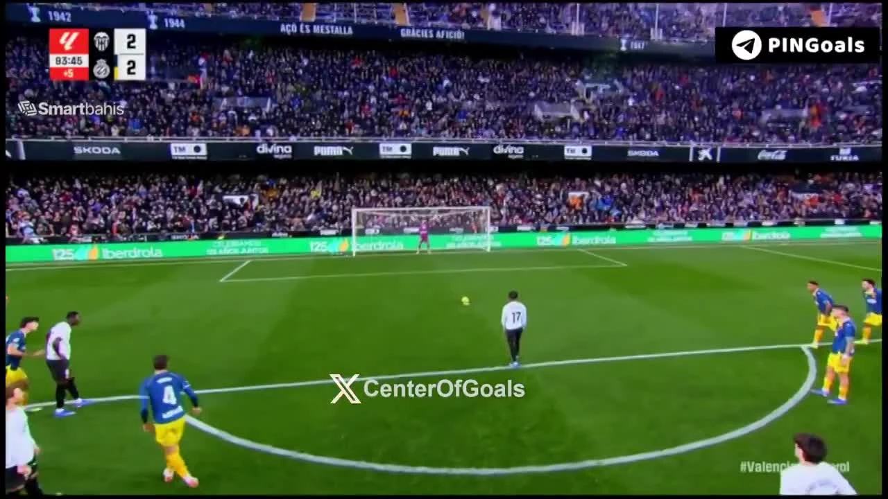 zaslepka skrotu video