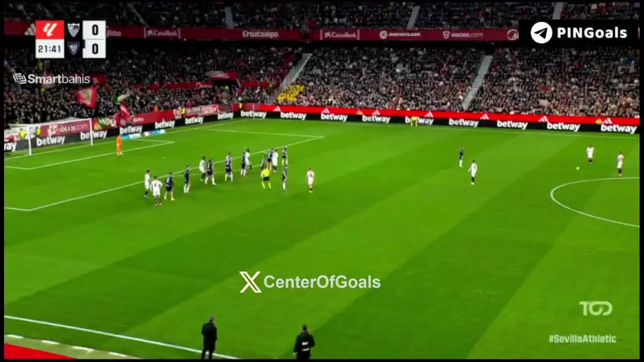 zaslepka skrotu video