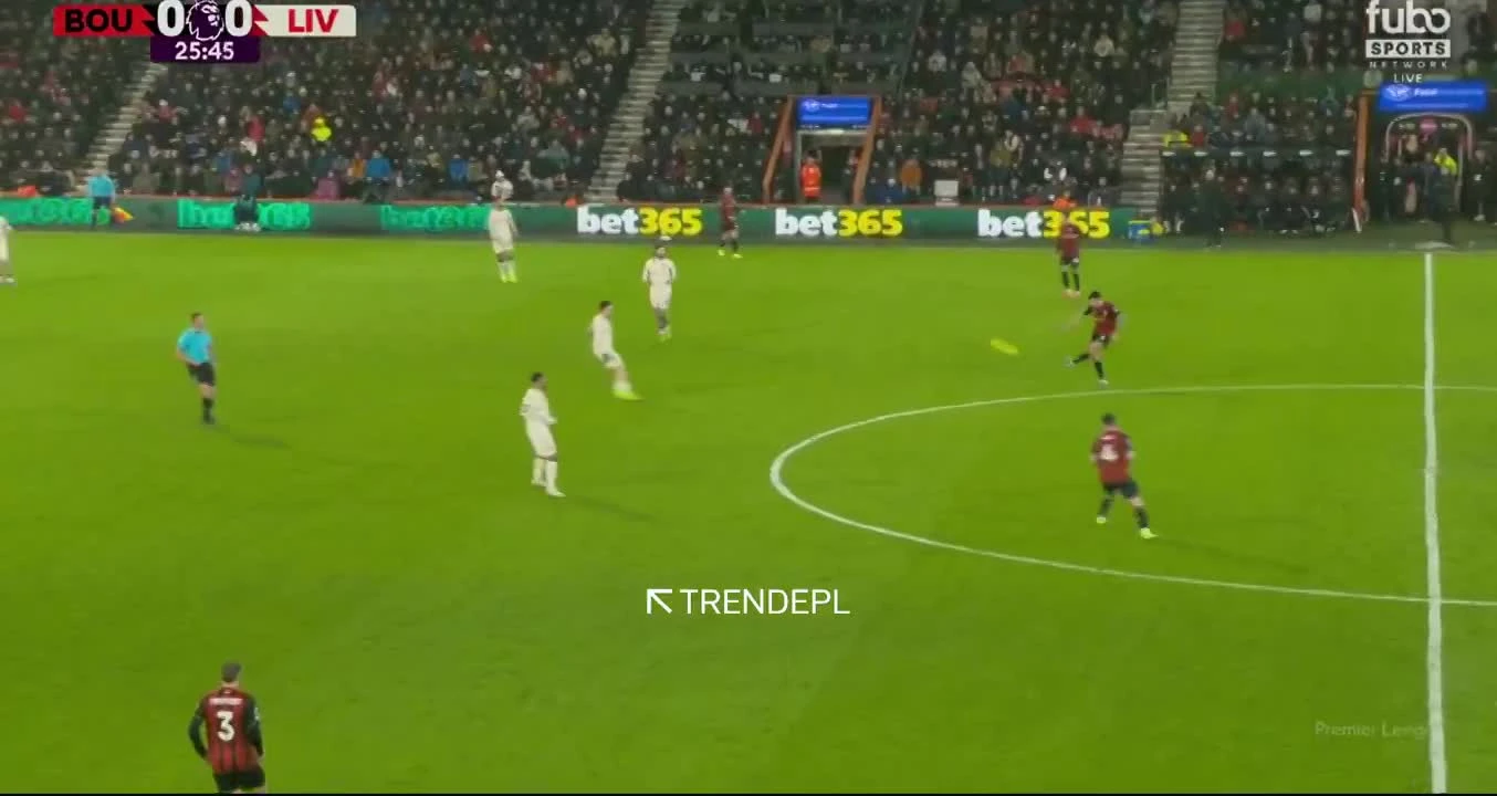 zaslepka skrotu video