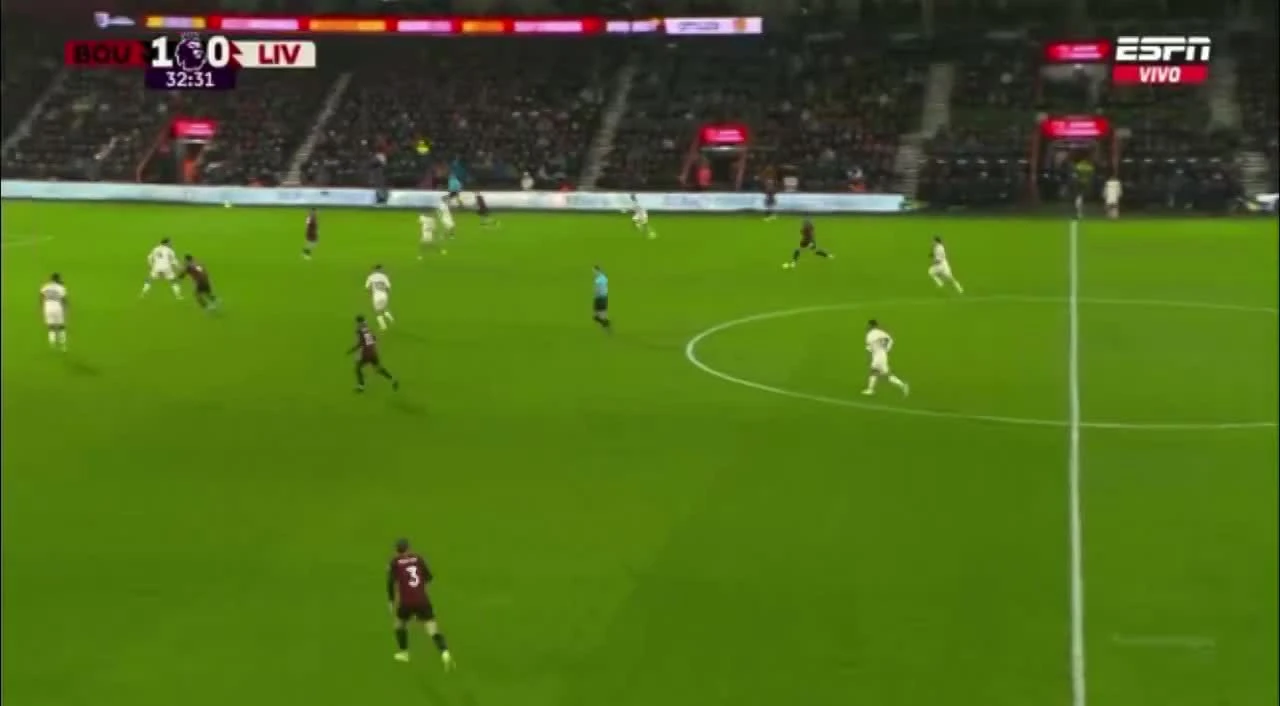 zaslepka skrotu video