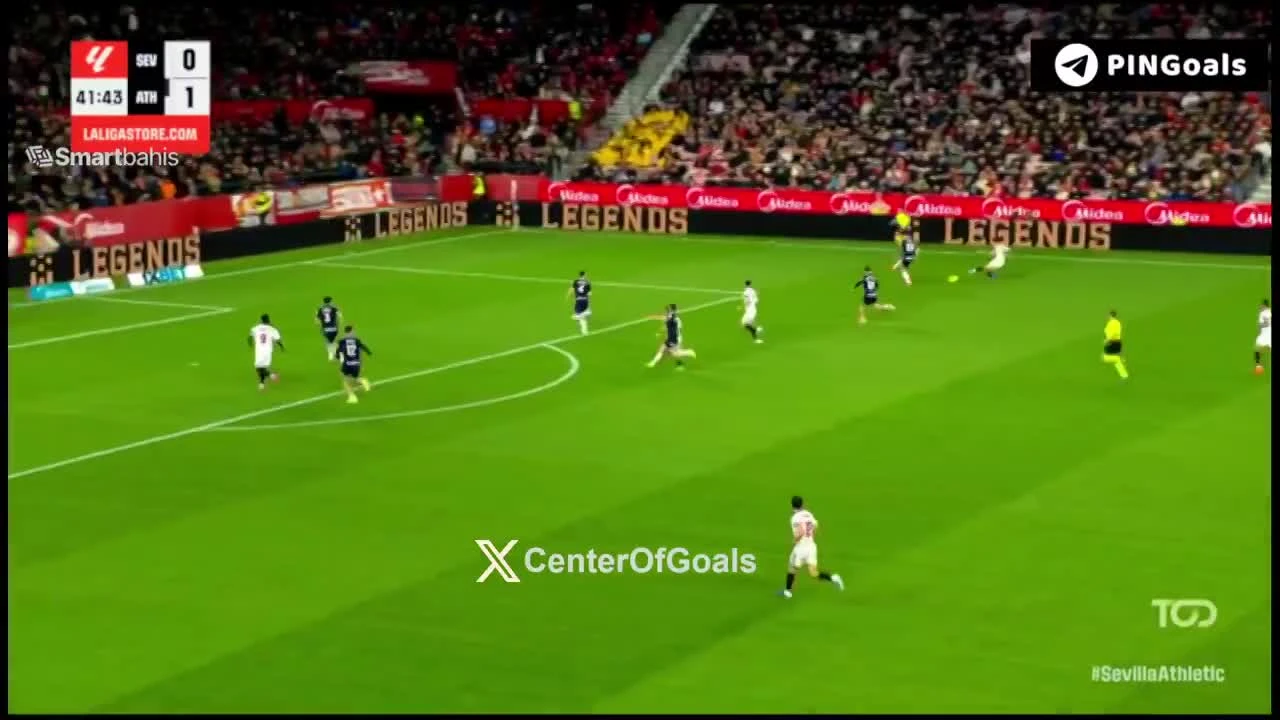 zaslepka skrotu video