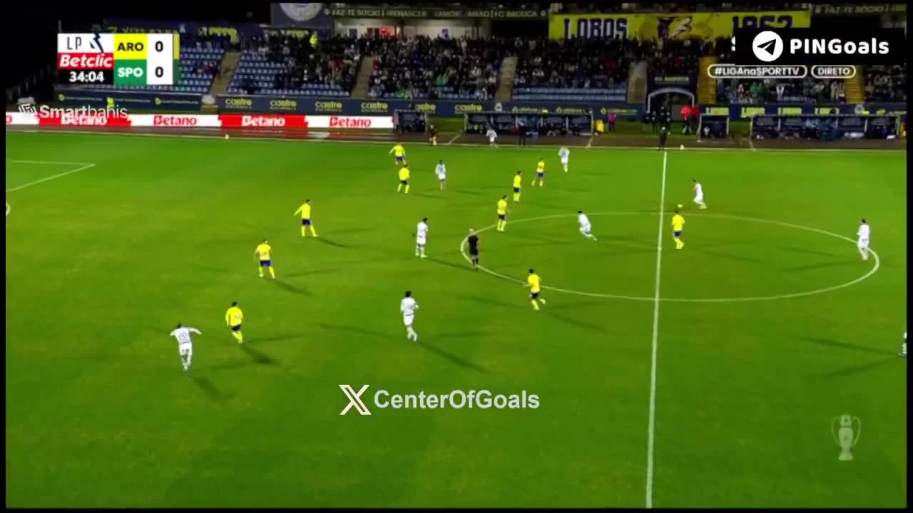 zaslepka skrotu video