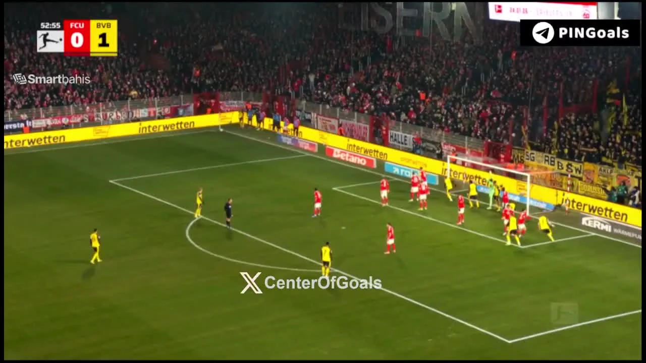 zaslepka skrotu video