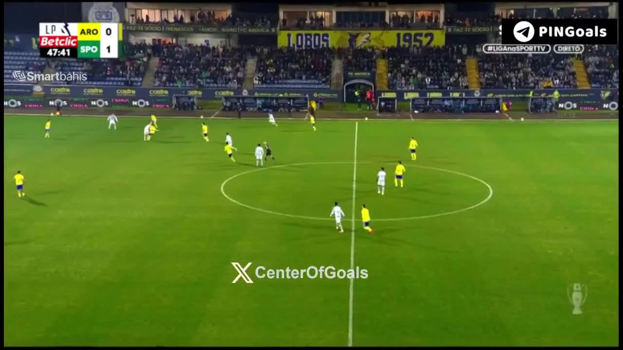 zaslepka skrotu video