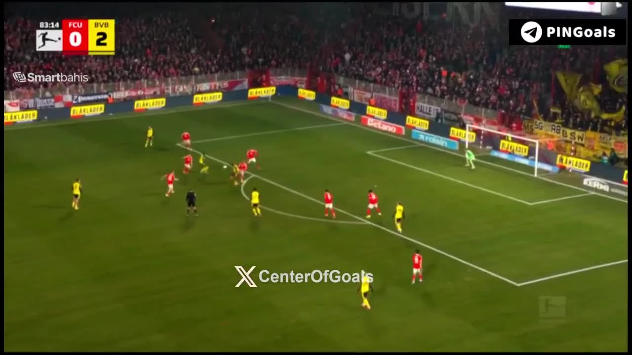 zaslepka skrotu video